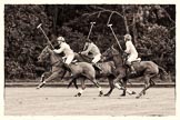 7th Heritage Polo Cup semi-finals: Nico Talamoni and Clare Payne, Team Emerging Switzerland, towards goal..
Hurtwood Park Polo Club,
Ewhurst Green,
Surrey,
United Kingdom,
on 04 August 2012 at 11:10, image #18