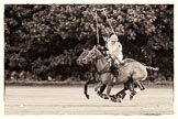 7th Heritage Polo Cup semi-finals: Nico Talamoni playing a nearside shot..
Hurtwood Park Polo Club,
Ewhurst Green,
Surrey,
United Kingdom,
on 04 August 2012 at 11:10, image #19