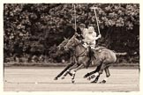 7th Heritage Polo Cup semi-finals: Nico Talamoni in full preparation for a nearside shot..
Hurtwood Park Polo Club,
Ewhurst Green,
Surrey,
United Kingdom,
on 04 August 2012 at 11:10, image #20