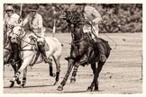 7th Heritage Polo Cup semi-finals: John Martin, Team Silver Fox USA & James Rome following..
Hurtwood Park Polo Club,
Ewhurst Green,
Surrey,
United Kingdom,
on 04 August 2012 at 11:42, image #73