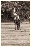 7th Heritage Polo Cup semi-finals: Penalty 4 Rosie Ross in full swing..
Hurtwood Park Polo Club,
Ewhurst Green,
Surrey,
United Kingdom,
on 04 August 2012 at 13:30, image #141