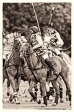 7th Heritage Polo Cup semi-finals: Throw In, Ladies of the British Empire Liberty Freedom in focus..
Hurtwood Park Polo Club,
Ewhurst Green,
Surrey,
United Kingdom,
on 04 August 2012 at 13:32, image #143