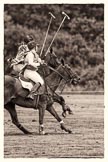 7th Heritage Polo Cup semi-finals: Rosie Ross leads on the ball. Barbara P Zingg on the ride off..
Hurtwood Park Polo Club,
Ewhurst Green,
Surrey,
United Kingdom,
on 04 August 2012 at 13:32, image #144