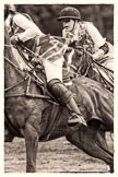 7th Heritage Polo Cup semi-finals: Speed, skill and courage shown here by Sarah Wisman & Heloise Lorentzen..
Hurtwood Park Polo Club,
Ewhurst Green,
Surrey,
United Kingdom,
on 04 August 2012 at 13:33, image #154