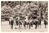 7th Heritage Polo Cup semi-finals: Play off..
Hurtwood Park Polo Club,
Ewhurst Green,
Surrey,
United Kingdom,
on 04 August 2012 at 13:56, image #193