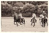 7th Heritage Polo Cup semi-finals: The Amazons of Polo POLISTAS v AMG PETROENERGY..
Hurtwood Park Polo Club,
Ewhurst Green,
Surrey,
United Kingdom,
on 04 August 2012 at 14:15, image #214