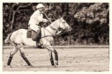 7th Heritage Polo Cup semi-finals: La Golondrina Argentina Pedro Harrison with his beautiful mare..
Hurtwood Park Polo Club,
Ewhurst Green,
Surrey,
United Kingdom,
on 04 August 2012 at 15:34, image #252