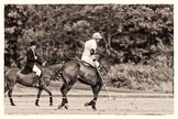 7th Heritage Polo Cup semi-finals: Mariano Darritchon preparing for the Penalty 4 shot..
Hurtwood Park Polo Club,
Ewhurst Green,
Surrey,
United Kingdom,
on 04 August 2012 at 15:48, image #285