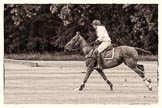 7th Heritage Polo Cup semi-finals: La Golondrina Brownie Taylor (0) GB..
Hurtwood Park Polo Club,
Ewhurst Green,
Surrey,
United Kingdom,
on 04 August 2012 at 15:50, image #291
