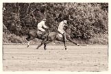 7th Heritage Polo Cup semi-finals: La Mariposa Argentina Timothy Rose playing the ball on his offside with Brownie Taylor on his side..
Hurtwood Park Polo Club,
Ewhurst Green,
Surrey,
United Kingdom,
on 04 August 2012 at 15:53, image #292