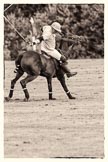 7th Heritage Polo Cup semi-finals: Mariano Darritchon with a back stroke..
Hurtwood Park Polo Club,
Ewhurst Green,
Surrey,
United Kingdom,
on 04 August 2012 at 15:55, image #301