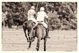 7th Heritage Polo Cup semi-finals: Mariano Darritchon v Paul Oberschneider..
Hurtwood Park Polo Club,
Ewhurst Green,
Surrey,
United Kingdom,
on 04 August 2012 at 16:01, image #309