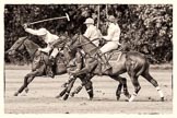 7th Heritage Polo Cup semi-finals: La Golondrian Argentina - Pedro Harrison playing a nearside shot..
Hurtwood Park Polo Club,
Ewhurst Green,
Surrey,
United Kingdom,
on 04 August 2012 at 16:12, image #313