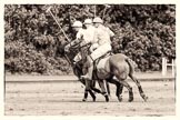 7th Heritage Polo Cup semi-finals: La Mariposa Argentina, Timothy Rose looking around..
Hurtwood Park Polo Club,
Ewhurst Green,
Surrey,
United Kingdom,
on 04 August 2012 at 16:15, image #320