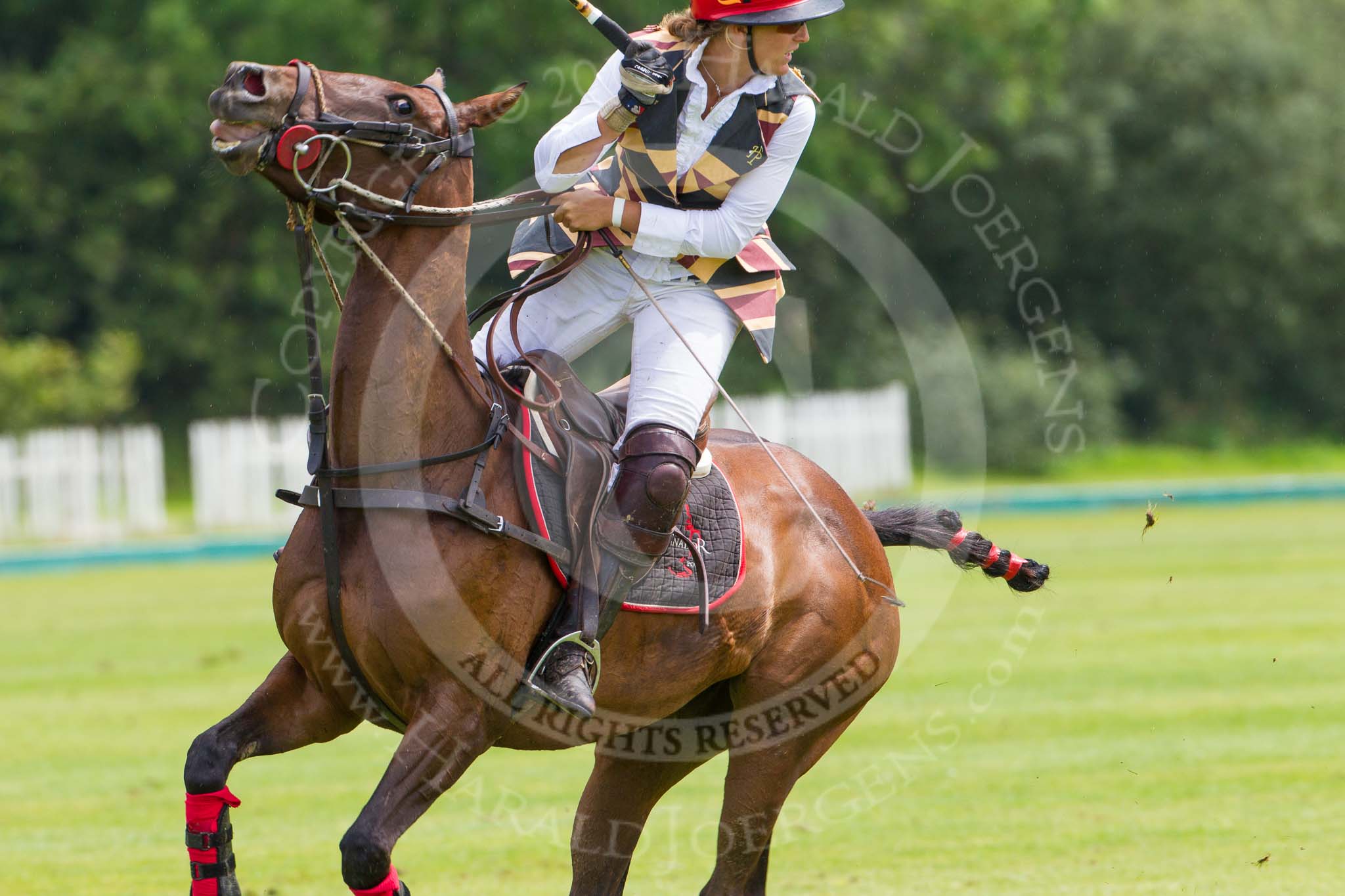 7th Heritage Polo Cup semi-finals: Sarah Wisman looking back at her nearside back shot and pass to her Team mate of..
Hurtwood Park Polo Club,
Ewhurst Green,
Surrey,
United Kingdom,
on 04 August 2012 at 13:35, image #160