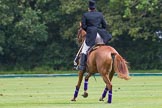 7th Heritage Polo Cup semi-finals: Umpire Gaston Devrient In Tail & Ascot Top Hat..
Hurtwood Park Polo Club,
Ewhurst Green,
Surrey,
United Kingdom,
on 04 August 2012 at 11:24, image #38