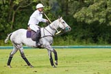 7th Heritage Polo Cup semi-finals: La Golondrina Argentina Pedro Harrison with his beautiful mare..
Hurtwood Park Polo Club,
Ewhurst Green,
Surrey,
United Kingdom,
on 04 August 2012 at 15:34, image #252