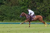 7th Heritage Polo Cup semi-finals: La Golondrina Argentina Brownie Taylor (0) GB..
Hurtwood Park Polo Club,
Ewhurst Green,
Surrey,
United Kingdom,
on 04 August 2012 at 15:50, image #288
