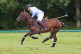 7th Heritage Polo Cup semi-finals: La Mariposa Argentina Alex Vent alone on the run..
Hurtwood Park Polo Club,
Ewhurst Green,
Surrey,
United Kingdom,
on 04 August 2012 at 15:55, image #297