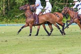 7th Heritage Polo Cup semi-finals: La Golondrina v La Mariposa..
Hurtwood Park Polo Club,
Ewhurst Green,
Surrey,
United Kingdom,
on 04 August 2012 at 16:50, image #333