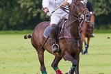7th Heritage Polo Cup semi-finals: Pepe Riglos La Golondrina Argentina..
Hurtwood Park Polo Club,
Ewhurst Green,
Surrey,
United Kingdom,
on 04 August 2012 at 16:56, image #340