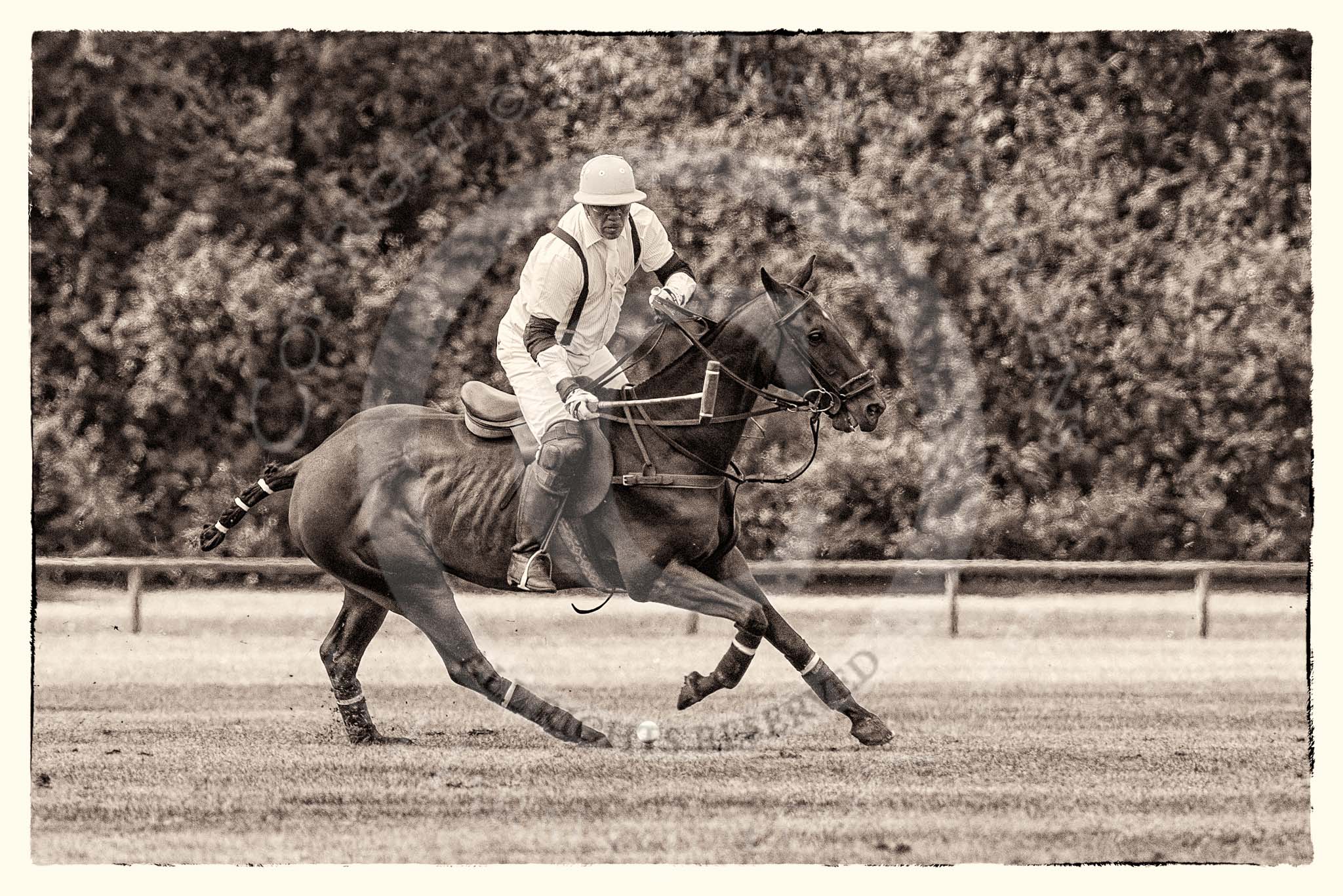 7th Heritage Polo Cup finals: Mariano Darrichton, La Mariposa Argentina.
Hurtwood Park Polo Club,
Ewhurst Green,
Surrey,
United Kingdom,
on 05 August 2012 at 13:23, image #18