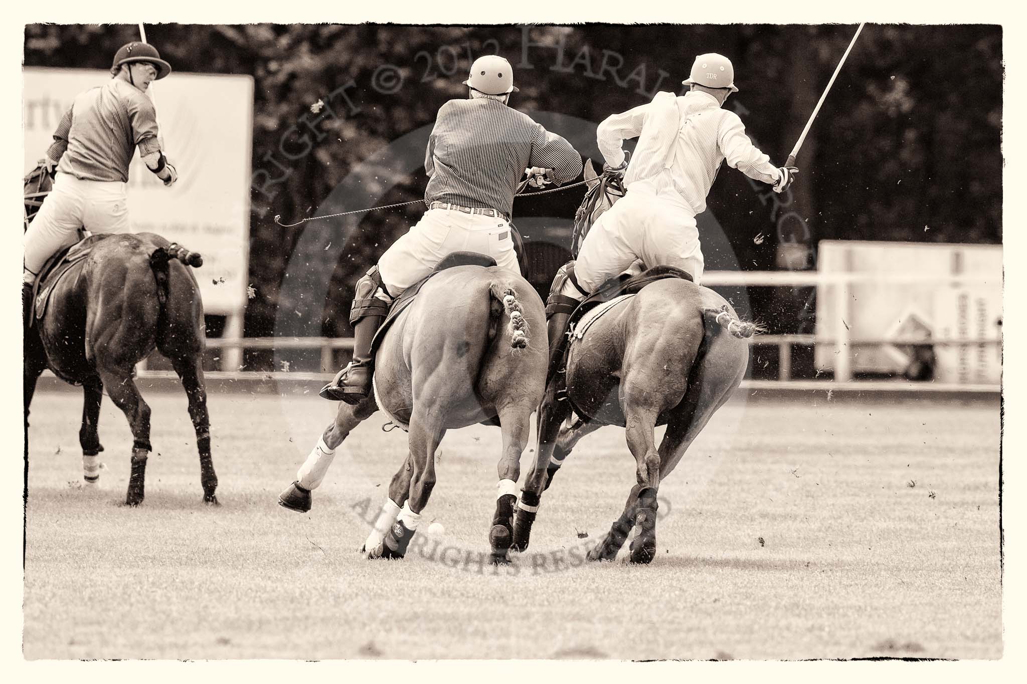 7th Heritage Polo Cup finals: Parke Bradley & Timothy Rose..
Hurtwood Park Polo Club,
Ewhurst Green,
Surrey,
United Kingdom,
on 05 August 2012 at 13:23, image #23