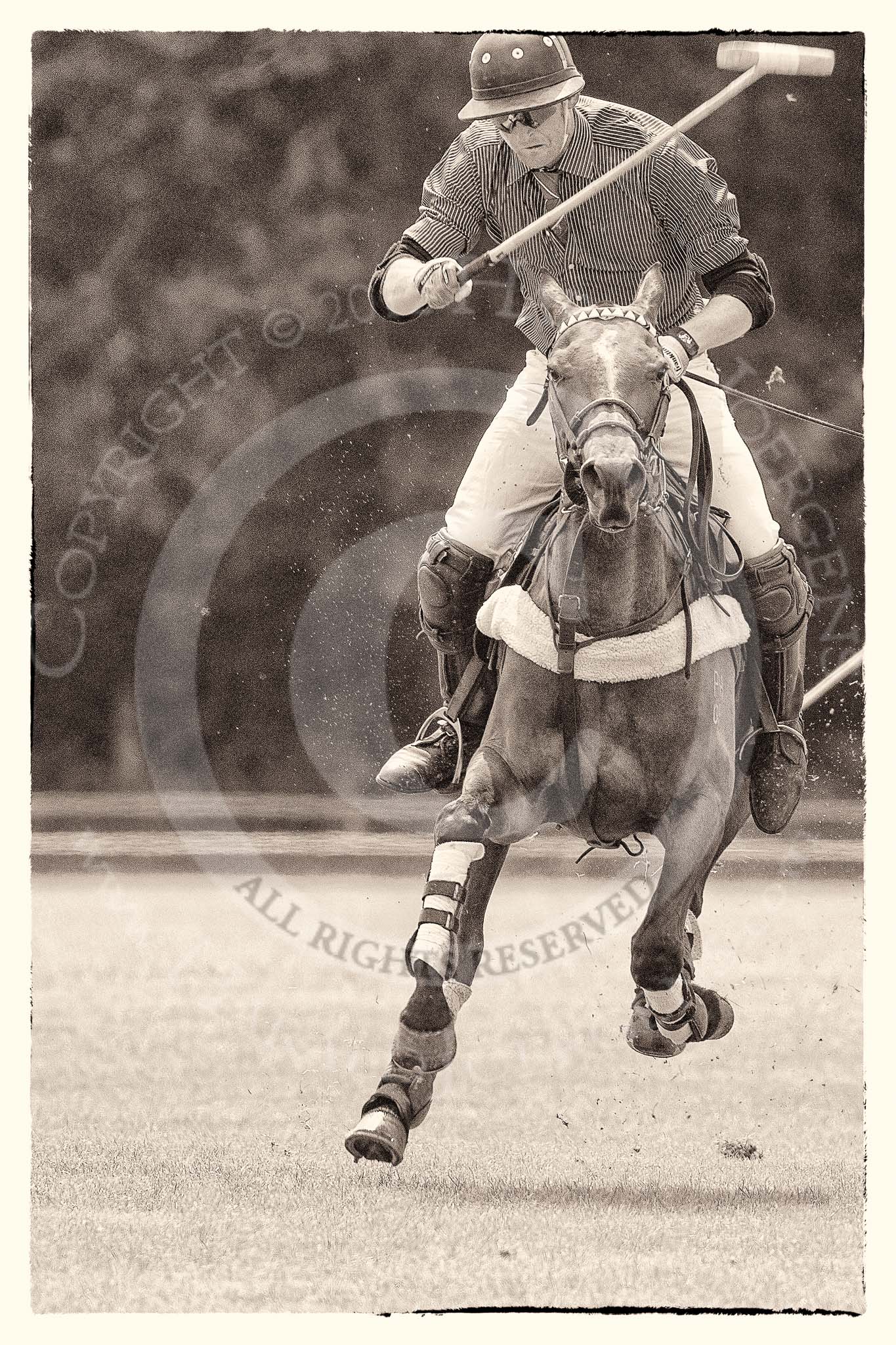 7th Heritage Polo Cup finals: Henry Fisher - Best Player of the 7th HERITAGE POLO CUP 2012..
Hurtwood Park Polo Club,
Ewhurst Green,
Surrey,
United Kingdom,
on 05 August 2012 at 13:36, image #32
