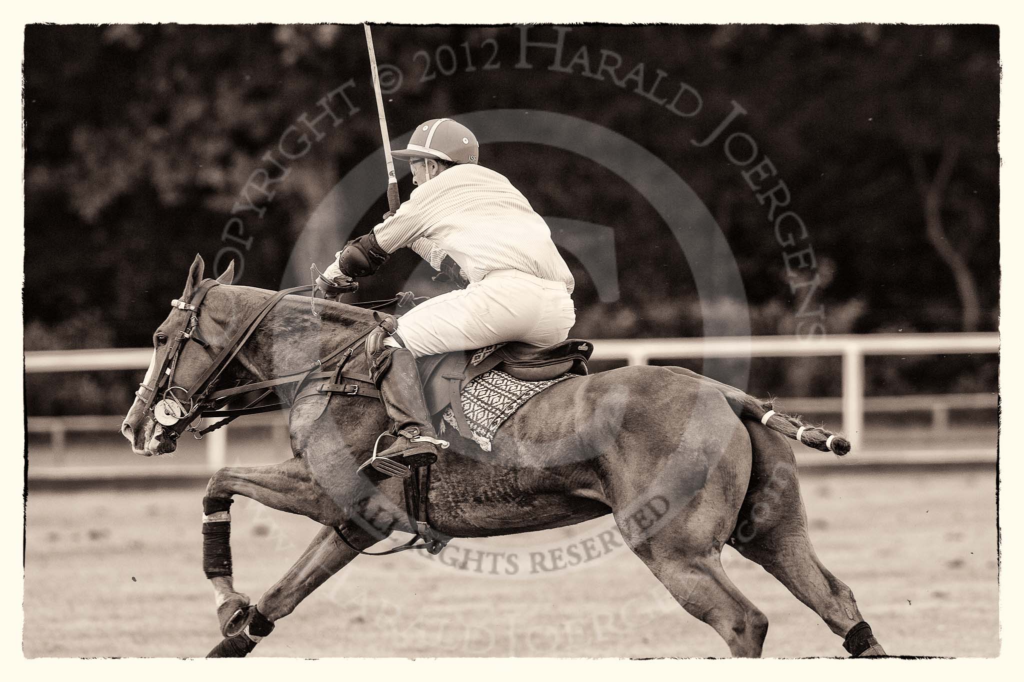 7th Heritage Polo Cup finals: Sebastian Funes..
Hurtwood Park Polo Club,
Ewhurst Green,
Surrey,
United Kingdom,
on 05 August 2012 at 13:58, image #55