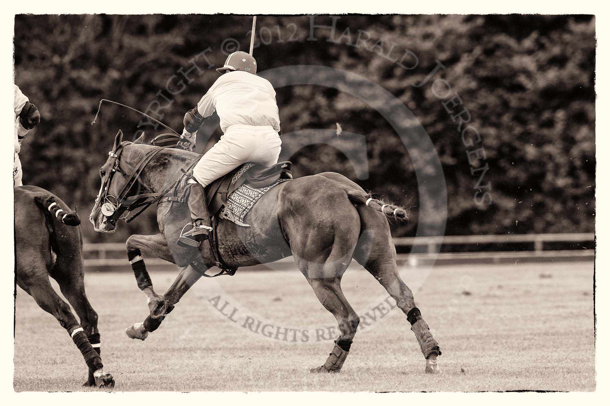 7th Heritage Polo Cup finals: Sebastian Funes..
Hurtwood Park Polo Club,
Ewhurst Green,
Surrey,
United Kingdom,
on 05 August 2012 at 13:58, image #56