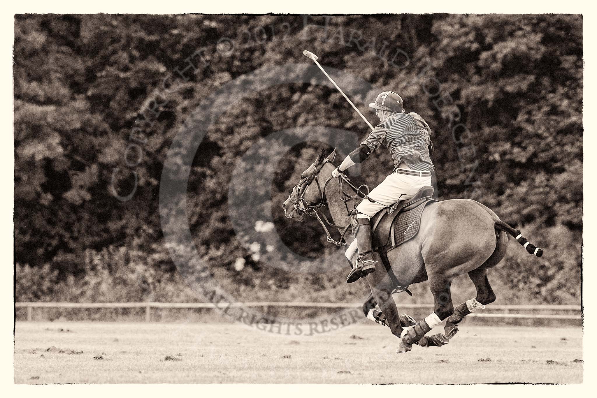 7th Heritage Polo Cup finals: Henry Fisher, Team Silver Fox USA..
Hurtwood Park Polo Club,
Ewhurst Green,
Surrey,
United Kingdom,
on 05 August 2012 at 13:59, image #57