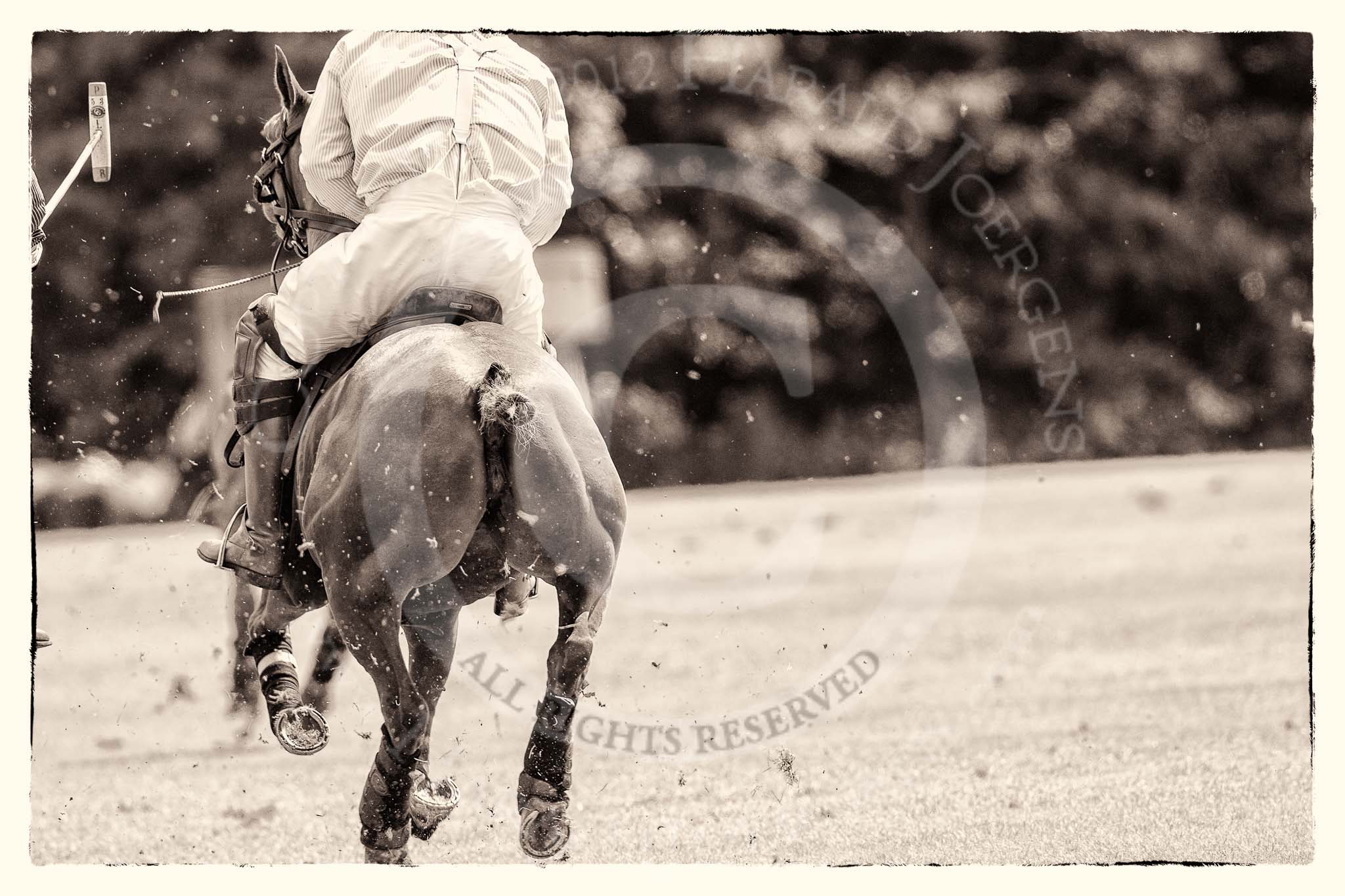 7th Heritage Polo Cup finals: Timothy Rose..
Hurtwood Park Polo Club,
Ewhurst Green,
Surrey,
United Kingdom,
on 05 August 2012 at 14:06, image #64