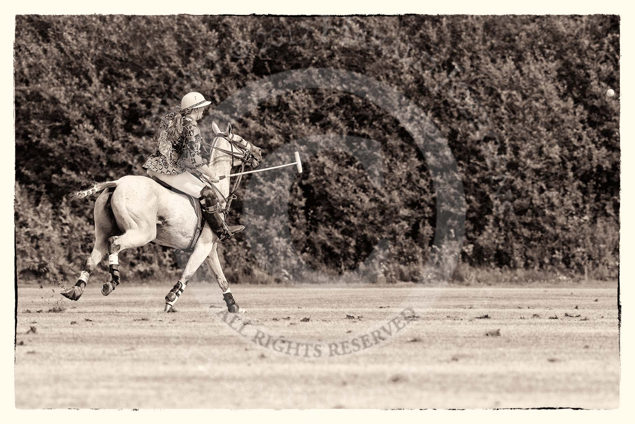 7th Heritage Polo Cup finals: AMG PETROENERGY Polo Player Erin Jones..
Hurtwood Park Polo Club,
Ewhurst Green,
Surrey,
United Kingdom,
on 05 August 2012 at 15:58, image #202