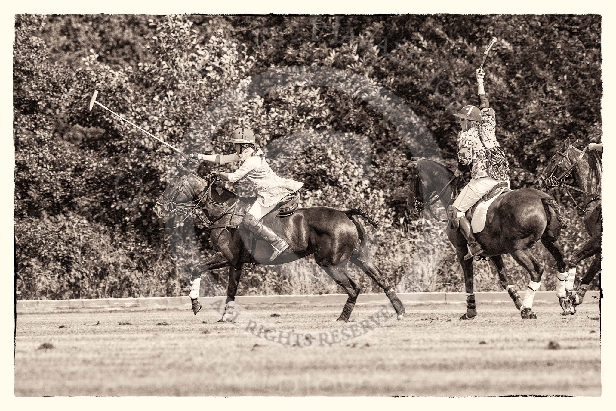 7th Heritage Polo Cup finals: Emma Boers crossing the line..
Hurtwood Park Polo Club,
Ewhurst Green,
Surrey,
United Kingdom,
on 05 August 2012 at 16:02, image #204