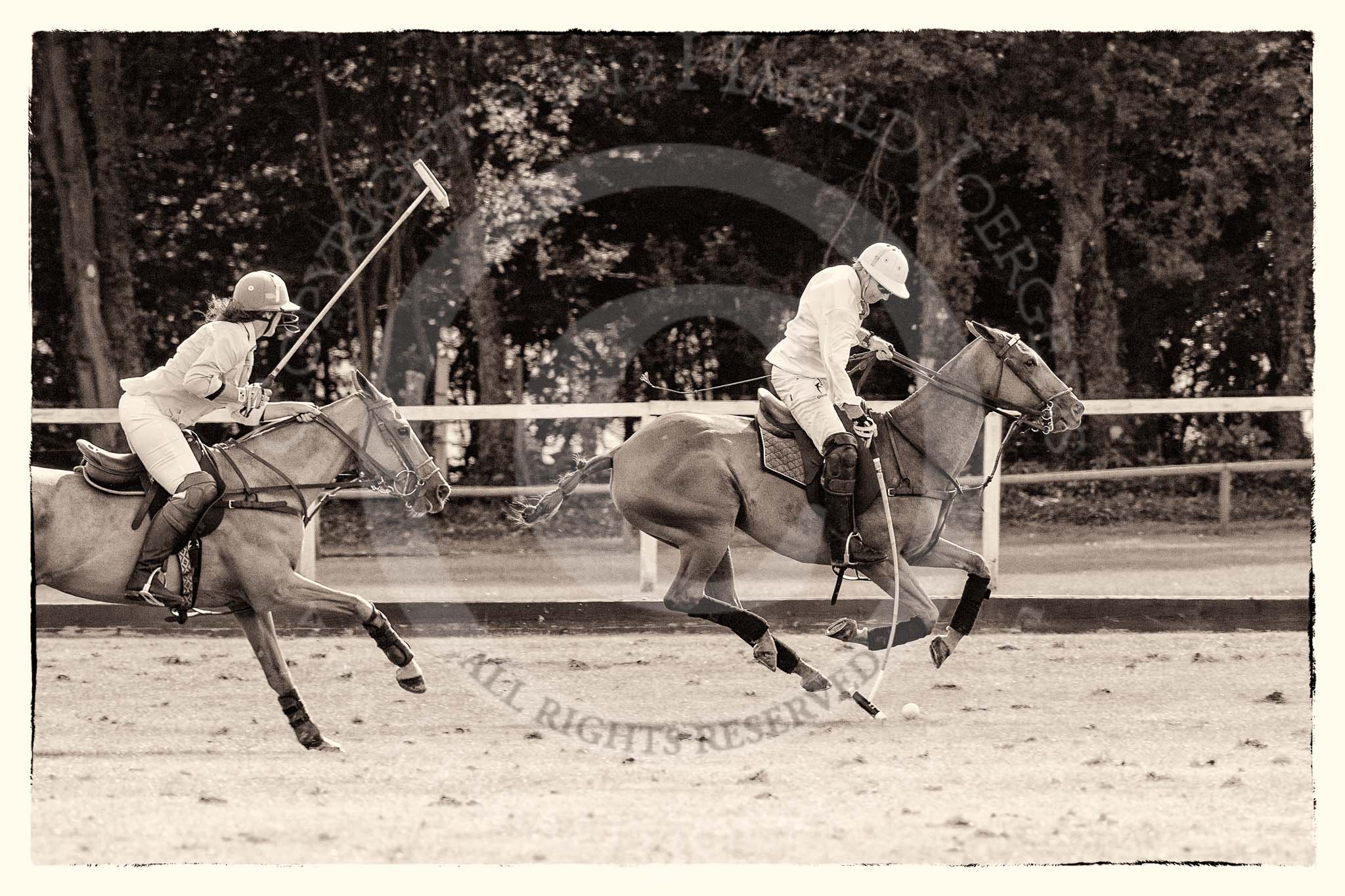 7th Heritage Polo Cup finals: La Golondrina Polo Team - Paul Oberschneider..
Hurtwood Park Polo Club,
Ewhurst Green,
Surrey,
United Kingdom,
on 05 August 2012 at 16:18, image #213