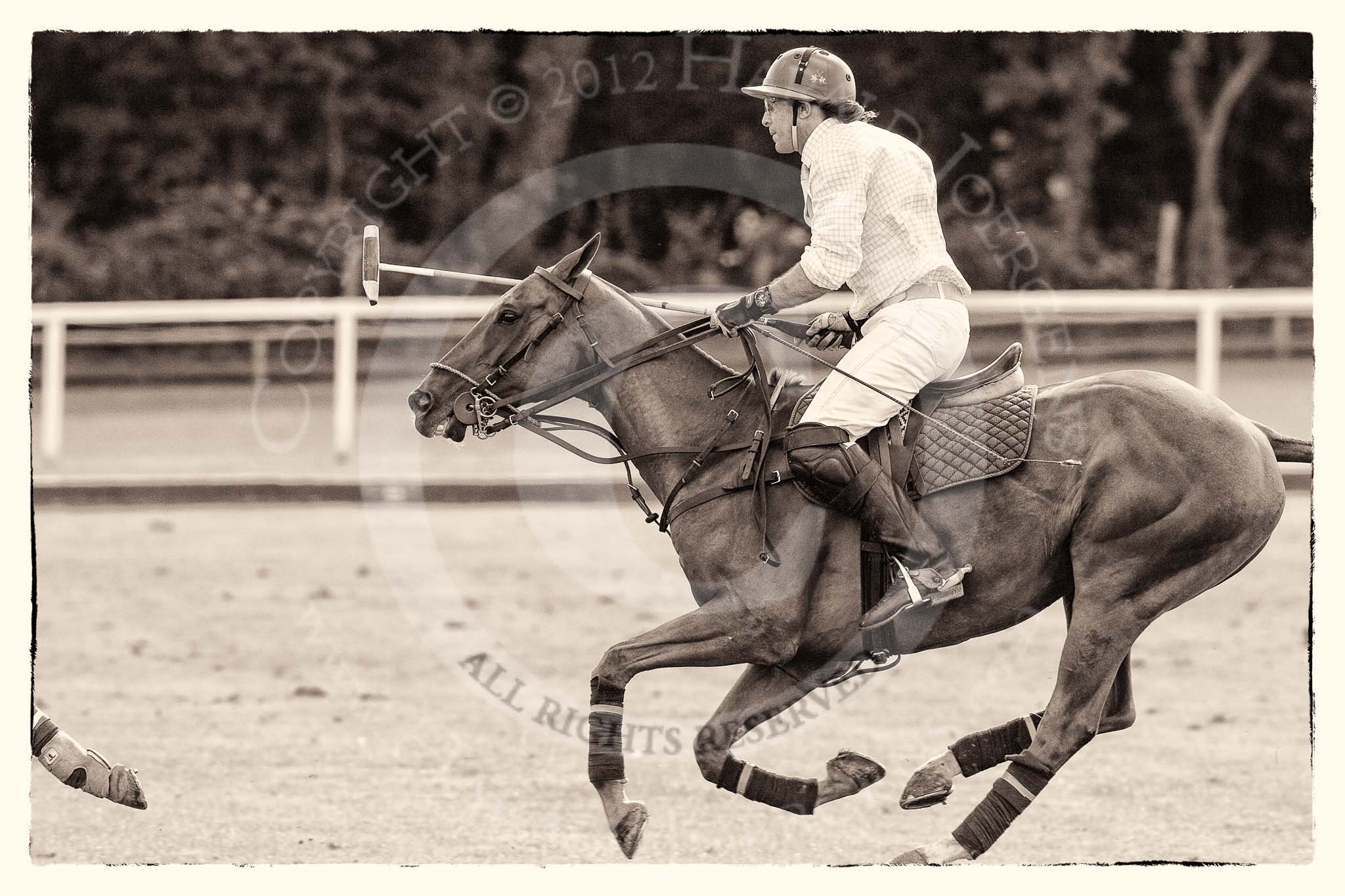 7th Heritage Polo Cup finals: justo Saveedra, Team Emerging Switzerland..
Hurtwood Park Polo Club,
Ewhurst Green,
Surrey,
United Kingdom,
on 05 August 2012 at 16:23, image #218