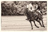 7th Heritage Polo Cup finals: La Mariposa Polo Team, Sebastian Funes..
Hurtwood Park Polo Club,
Ewhurst Green,
Surrey,
United Kingdom,
on 05 August 2012 at 13:23, image #21