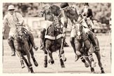 7th Heritage Polo Cup finals: James Rome, Team Silver Fox USA, escaping and in full control..
Hurtwood Park Polo Club,
Ewhurst Green,
Surrey,
United Kingdom,
on 05 August 2012 at 14:06, image #63
