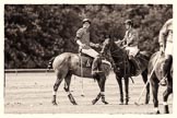 7th Heritage Polo Cup finals: Henry Fisher & John Martin..
Hurtwood Park Polo Club,
Ewhurst Green,
Surrey,
United Kingdom,
on 05 August 2012 at 14:14, image #72