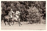 7th Heritage Polo Cup finals: Sarah Wisman v Heloise Lorentzen..
Hurtwood Park Polo Club,
Ewhurst Green,
Surrey,
United Kingdom,
on 05 August 2012 at 15:14, image #133