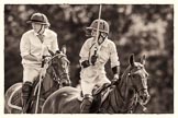 7th Heritage Polo Cup finals: Clare Payne & Brownie Taylor..
Hurtwood Park Polo Club,
Ewhurst Green,
Surrey,
United Kingdom,
on 05 August 2012 at 15:21, image #158