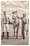 7th Heritage Polo Cup finals: Best Playing Pony Award won by Pedro Harrison..
Hurtwood Park Polo Club,
Ewhurst Green,
Surrey,
United Kingdom,
on 05 August 2012 at 17:11, image #291