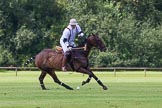 7th Heritage Polo Cup finals: Mariano Darrichton, La Mariposa Argentina..
Hurtwood Park Polo Club,
Ewhurst Green,
Surrey,
United Kingdom,
on 05 August 2012 at 13:23, image #18