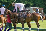 7th Heritage Polo Cup finals: Nico Talamoni changing ponies..
Hurtwood Park Polo Club,
Ewhurst Green,
Surrey,
United Kingdom,
on 05 August 2012 at 15:38, image #183