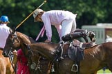 7th Heritage Polo Cup finals: Nico Talamoni changing ponies..
Hurtwood Park Polo Club,
Ewhurst Green,
Surrey,
United Kingdom,
on 05 August 2012 at 15:38, image #184