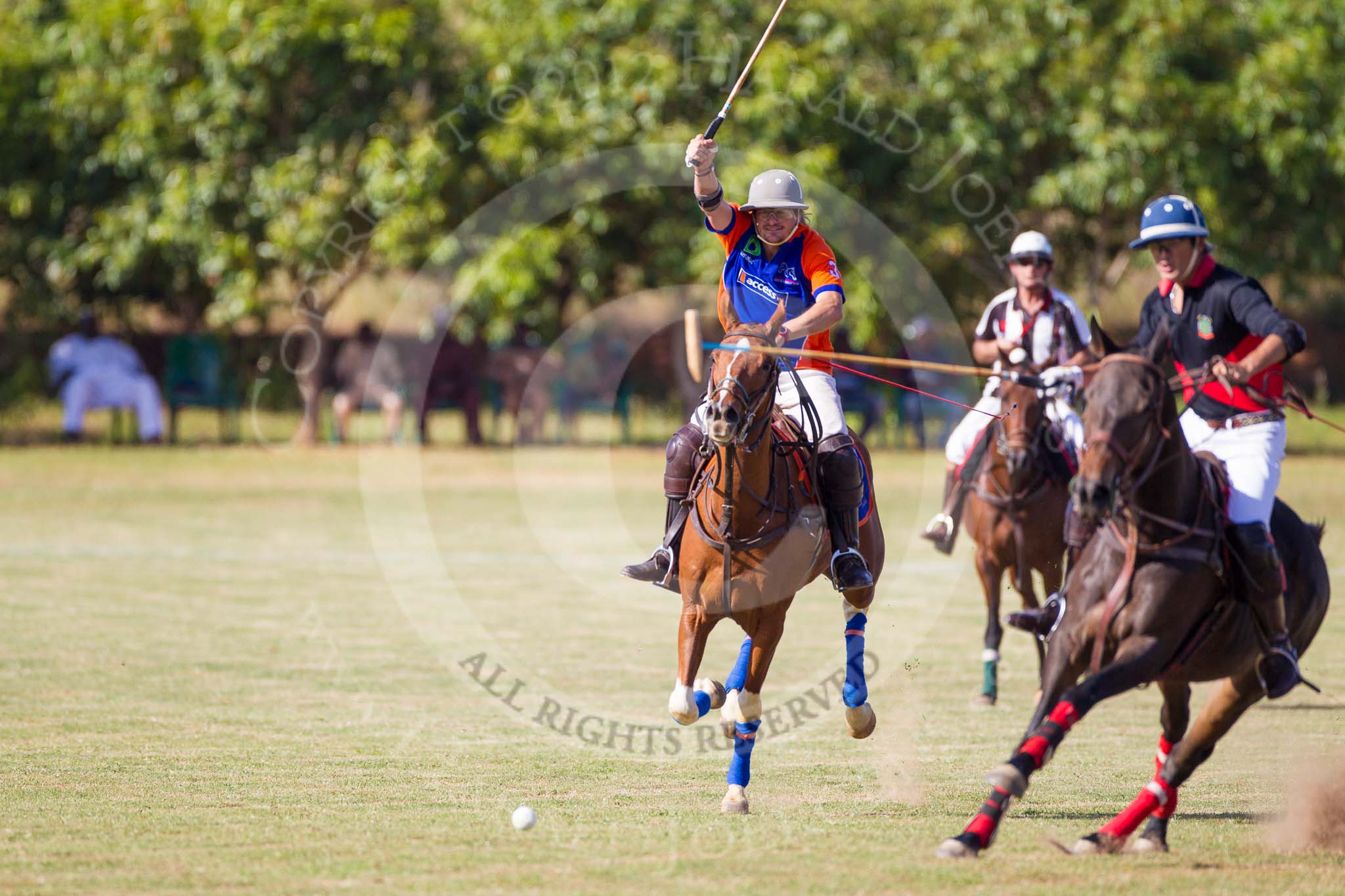 African Patrons Cup 2012 (Friday): Match Access Bank Fifth Chukker v Keffi Ponies: Ezequiel Martinez Ferrario v Pepe Araya..
Fifth Chukker Polo & Country Club,
Kaduna,
Kaduna State,
Nigeria,
on 02 November 2012 at 15:37, image #9