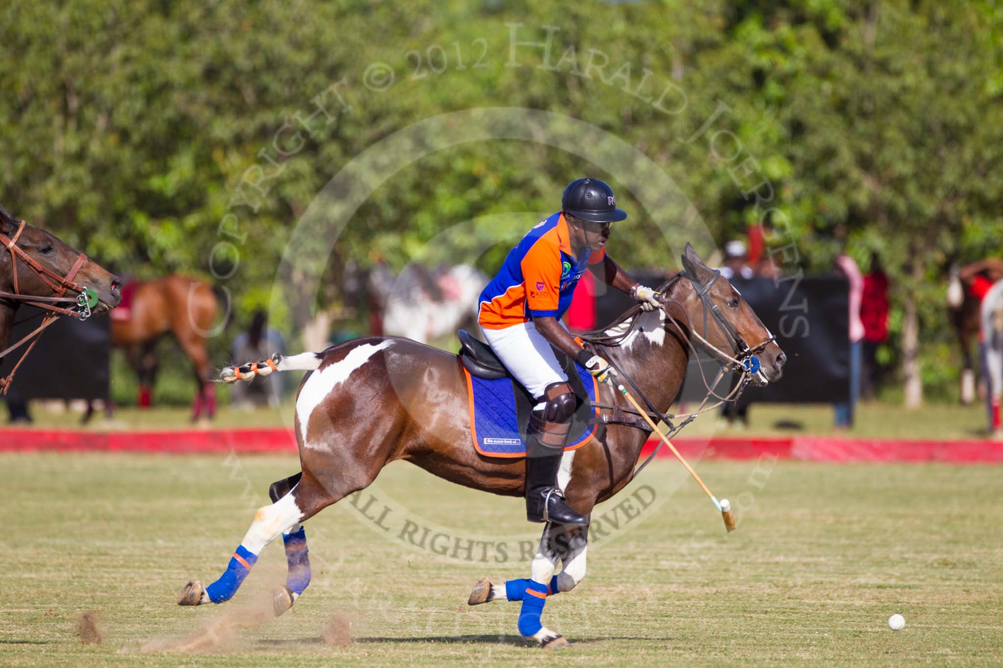 African Patrons Cup 2012 (Friday): Match Access Bank Fifth Chukker v Keffi Ponies: Adamu Atta playing the ball towards the goal..
Fifth Chukker Polo & Country Club,
Kaduna,
Kaduna State,
Nigeria,
on 02 November 2012 at 15:38, image #17