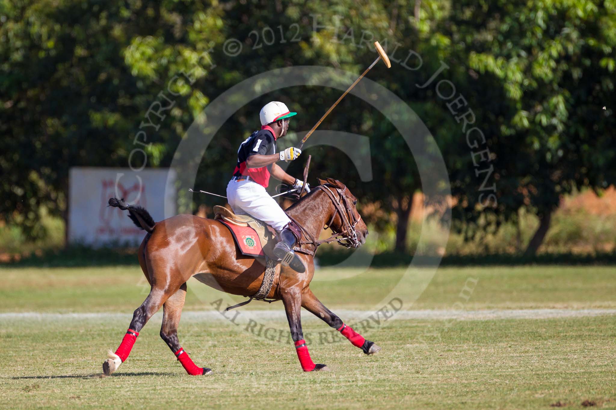 African Patrons Cup 2012 (Friday): Match Access Bank Fifth Chukker v Keffi Ponies: Hon. Ahmed Aliyu Wadada..
Fifth Chukker Polo & Country Club,
Kaduna,
Kaduna State,
Nigeria,
on 02 November 2012 at 15:38, image #23