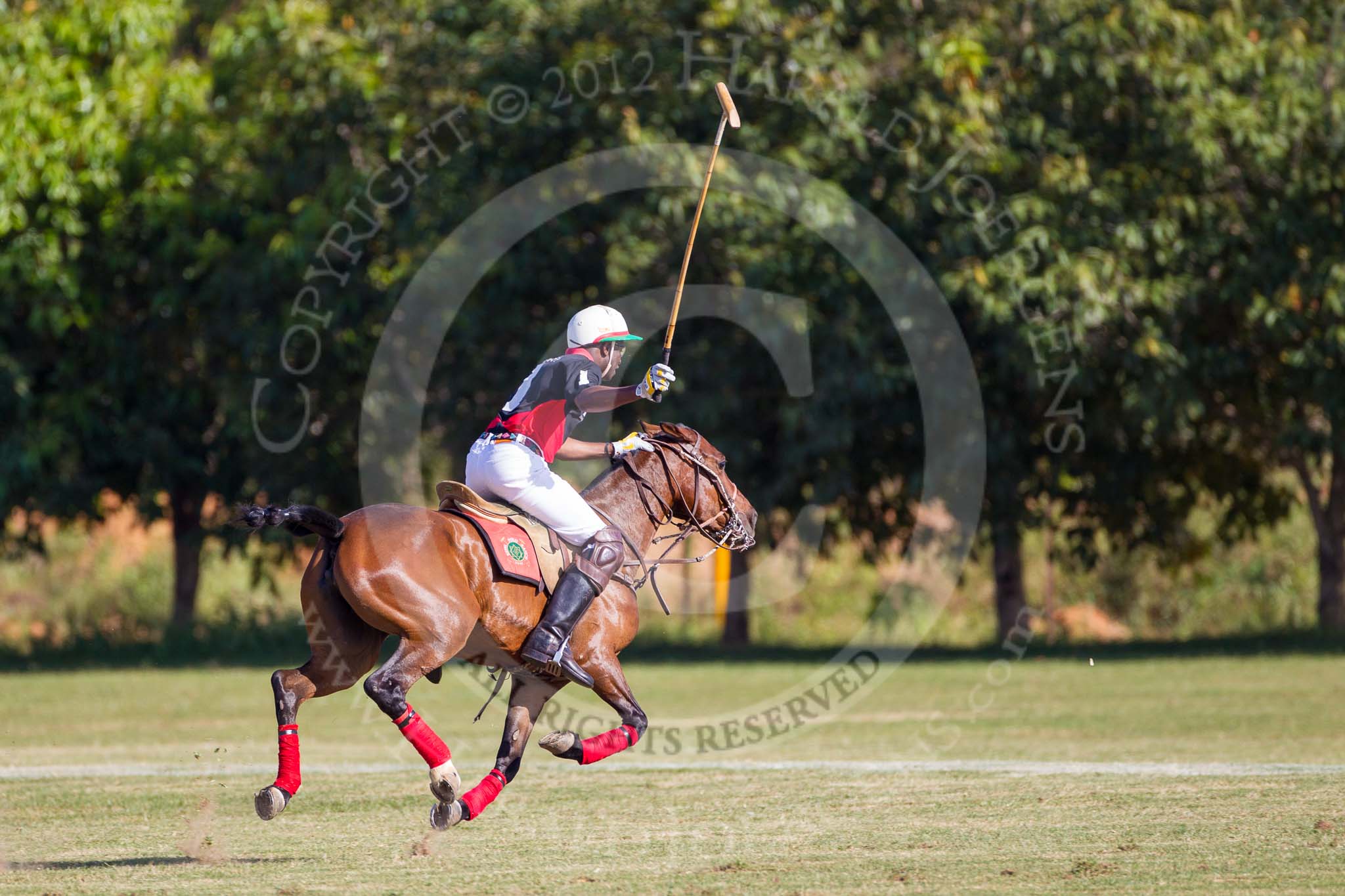 African Patrons Cup 2012 (Friday): Match Access Bank Fifth Chukker v Keffi Ponies: Hon. Ahmed Aliyu Wadada..
Fifth Chukker Polo & Country Club,
Kaduna,
Kaduna State,
Nigeria,
on 02 November 2012 at 15:38, image #24
