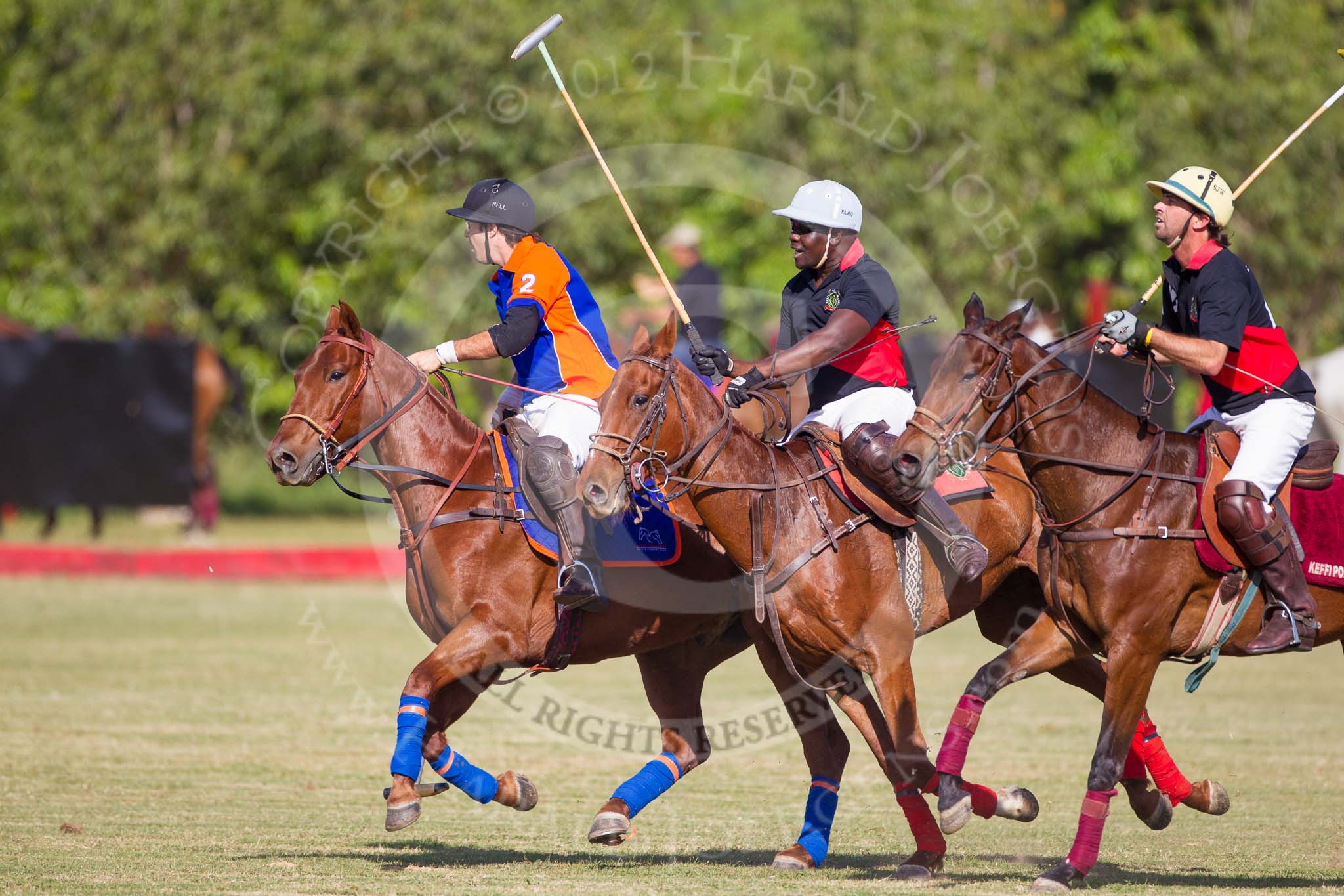 African Patrons Cup 2012 (Friday): Match Access Bank Fifth Chukker v Keffi Ponies: Pedro Fernandez Llorente, Ibrahim 'Rambo' Mohammed and Selby Williamson..
Fifth Chukker Polo & Country Club,
Kaduna,
Kaduna State,
Nigeria,
on 02 November 2012 at 15:40, image #25